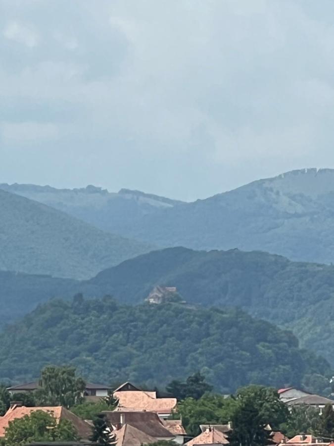 Ovidius Apartament Cisnădie المظهر الخارجي الصورة